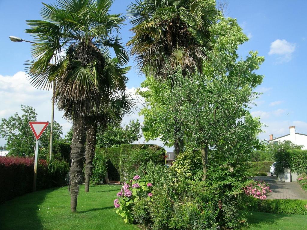 Campagna Lupia Hotel Da Vito מראה חיצוני תמונה